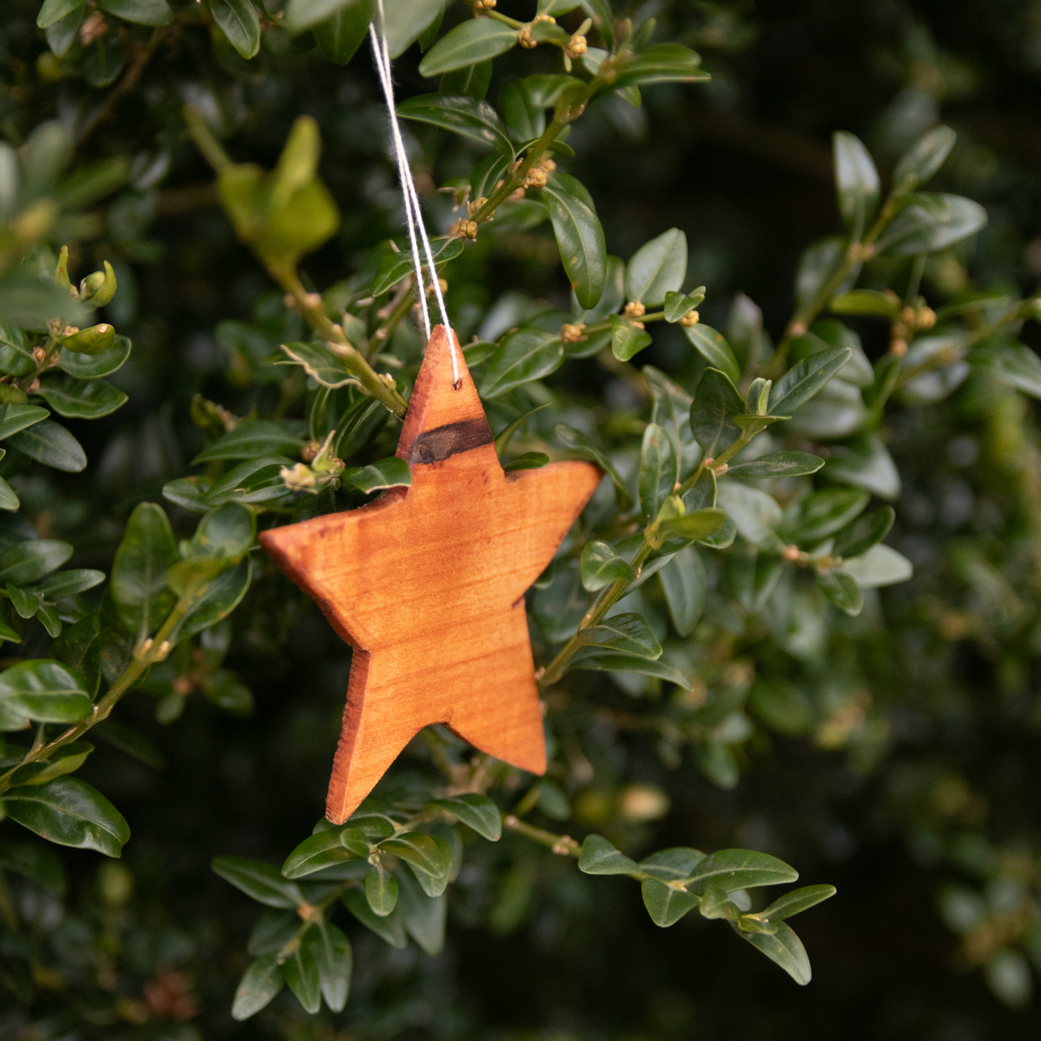 Weihnachtswerkstatt – Kreativer Kurs für handgemachte Anhänger aus Ton & Holz – Bild 3